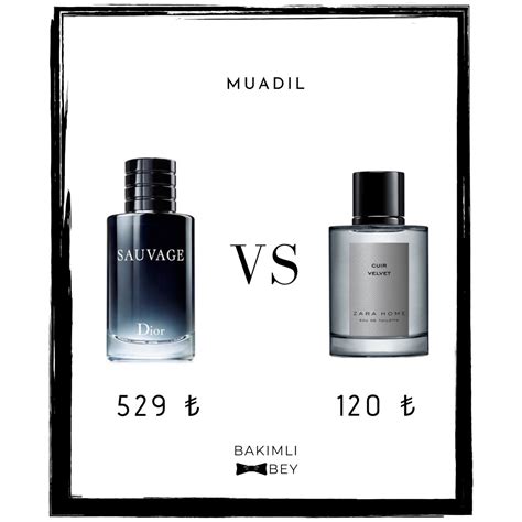 dupe dior homme zara